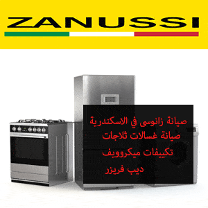 خدمة اصلاح ايديال زانوسي الاسكندرية